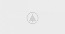 wood-gallery-placeholder-5
