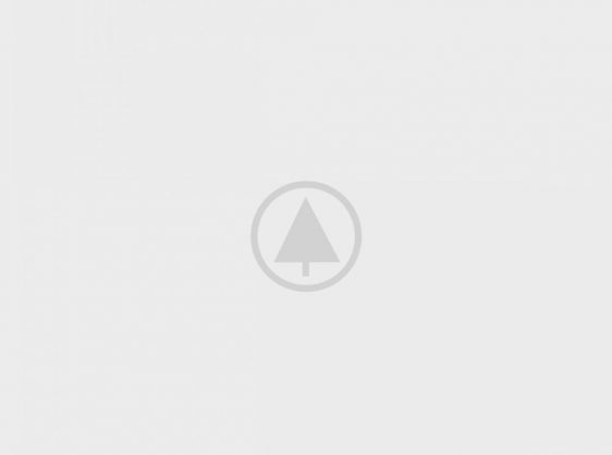 wood-gallery-placeholder-5 wood-gallery-placeholder-5