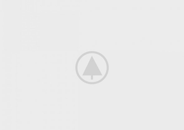 wood-gallery-placeholder-5