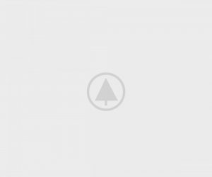 wood-gallery-placeholder