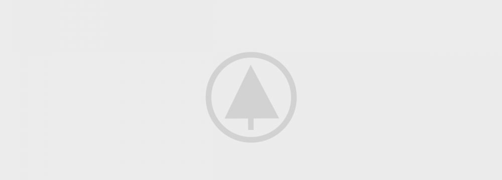 wood-portfolio-placeholder wood-portfolio-placeholder